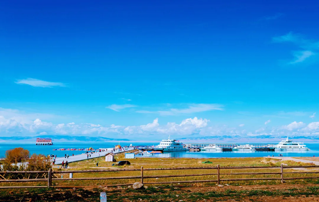 青海盛会,尊敬的领导与朋友们共聚一堂